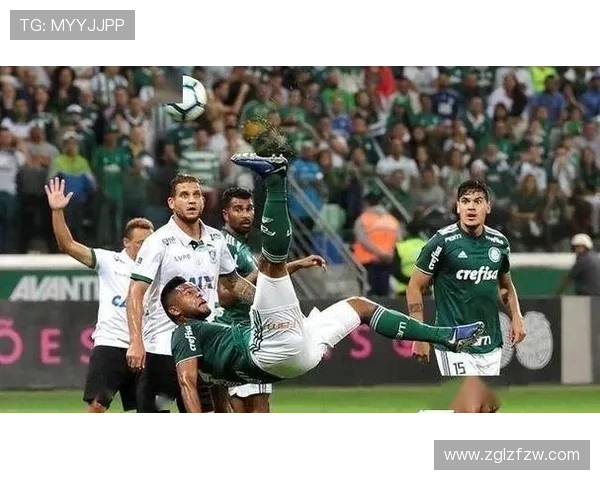 巴甲联赛历史夺冠次数统计帕尔梅拉斯领先弗拉门戈紧随其后