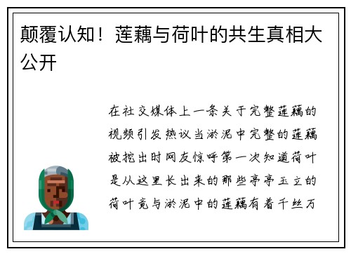 颠覆认知！莲藕与荷叶的共生真相大公开